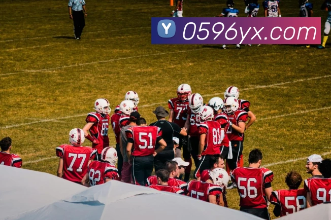 未来规划